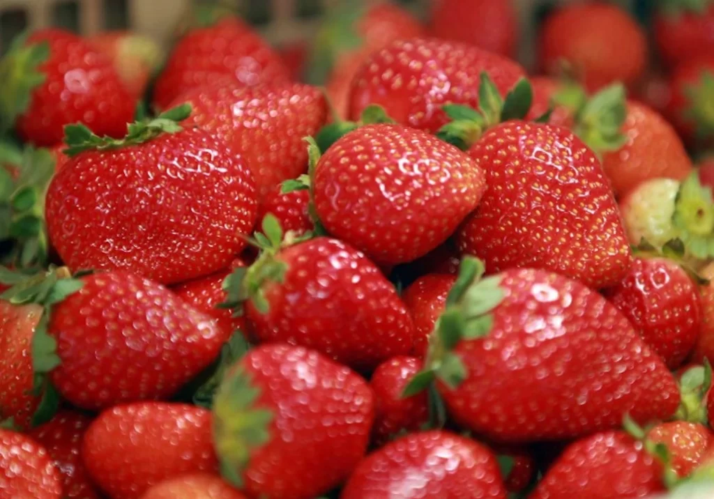 Alimentos para emagrecer