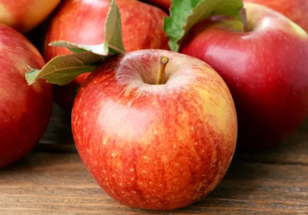 Alimentos para emagrecer