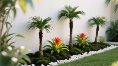 Qual a planta perfeita