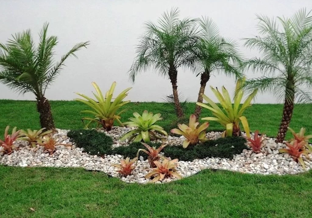 planta perfeita