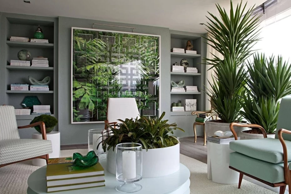 planta perfeita