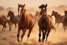 animais mais rapidos